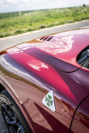 Alfa Romeo Stelvio Quadrifoglio 2020 года  (WW)